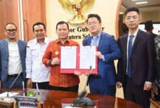 Proyek Raksasa PLTS 300 MW di Sumatera Selatan : Maju Bersama Energi Terbarukan !