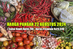 Harga Pangan 22 Agustus 2024 : Cabai Rawit Turun Jadi Rp56.790, Beras Premium Rp15.690 per Kg !