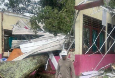 Gedung SDN 11 Pemulutan Barat Rusak Parah Diterjang Pohon Tumbang