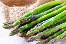 Sayur Asparagus  Dapat Mencegah Penuaan Dini dan Batu Ginjal