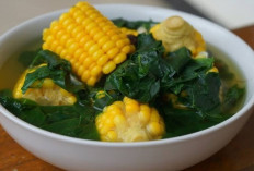 Sayur Bening Daun Katuk : Menu Sehat Kaya Manfaat yang Semakin Diminati Masyarakat