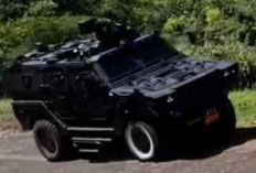 Dua Varian Unggulan, Pandu 4x4 Siap Saingi Kendaraan Tempur Kelas Dunia