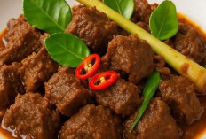 Makanan Khas Padang, Kelezatan Rendang dan Ragam Masakan yang Mendunia