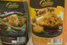 Jenis-Jenis Saus yang Populer dalam Masakan