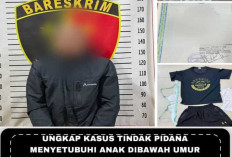 Buruh Sawit Rudapaksa Anak di Bawah Umur, Pelaku Terancam 15 Tahun Penjara