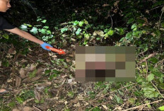 Temuan Mayat Gegerkan Baturaja Sumatera Selatan :  Diduga Kuat Korban Pembunuhan !