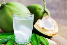 Anjuran Minum Air Kelapa Saat Berbuka untuk Cegah Dehidrasi