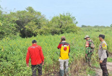 Tim Gabungan Gelar Patroli Terpadu Cegah Karhutla 