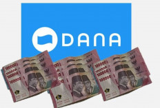 Mudah! Pinjam Saldo DANA Hanya dengan Nomor HP, Cair hingga Jutaan Tanpa KTP dan BI Checking