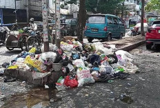 Pelembang Bakal Terapkan Perda Sampah, Denda Rp 50 ribu dan 3 Bulan Kurungan bagi Pelanggar 