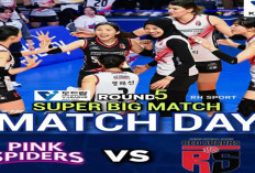 Leg 5 V-League Korea, Red Sparks vs Pink Spiders: Final Penentuan Sang Ratu Volly korea dan Mega