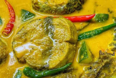 Keberagaman Rasa dan Nutrisi dalam Gulai Ikan Tongkol : Kuliner Tradisional yang Menggoda Selera