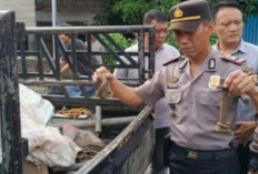  Curi Besi Rel Kereta Api, Dua Warga OKU Diringkus Polisi