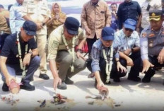 Resmikan Jalan CSR OKI Pulp, Herman Deru Dorong Sinergi Korporasi 