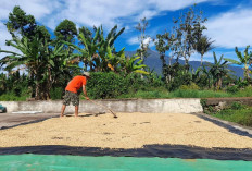 Desa Tanjung Menang Kabupaten Lahat: Permata Wisata Alam di Lereng Bukit Barisan