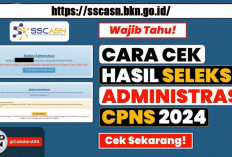 Lolos atau Tidak ? Simak Cara Mengecek Hasil Seleksi Administrasi CPNS 2024 di Sini !