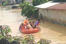Banjir Bandang Terjang Muratara, 16 Ribu Rumah Warga Terendam dan Balita Meninggal Dunia