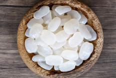 Redakan Radang Sendi dan Jaga Kesehatan Tulang dengan Kolang-kaling