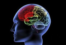 Mengenal Terapi DBS untuk Penderita Distonia dan Sindrom Tourette