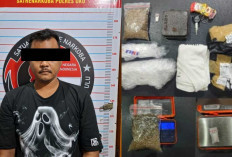  Jalur Lintas Sumatera Jadi Target Pengawasan, Polda Sumsel Gagalkan Pengiriman Sabu dan Ganja