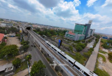 Daftar 15 Provinsi dengan Pertumbuhan Ekonomi Tertinggi Triwulan I-2026: Sumatera Selatan Nomor Berapa ?