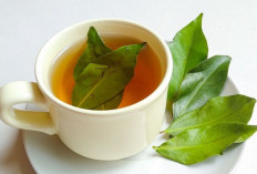 5 Air Rebusan Daun yang Bisa Turunkan Asam Urat, Apa Saja? Berikut Penjelasan Lengkapnya