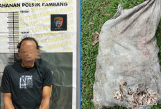 Pencuri Getah Karet Nyaris Tewas Diamuk Massa