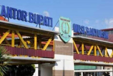 6 Pejabat Lolos Seleksi Administrasi dan Rekam Jejak, Siapa Paling Berpeluang Duduki Kursi Sekda Muba?