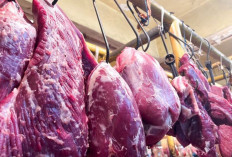 Harga Pangan 21 Desember 2024 : Daging Sapi Turun Menjadi Rp131.990 per Kilogram !