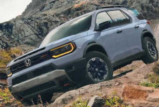 Mengapa Honda Passport Layak Dilirik? Ini Keunggulan dan Fitur Canggihnya