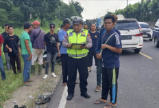 Tragis ! Satu Keluarga Kecelakaan Lalu Lintas  di Indralaya, 2 Orang Warga Palembang Meninggal