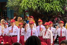 SDN 11 OKU Panen Prestasi di OSN: Tiga Siswa Raih Juara, 15 Dapat Penghargaan