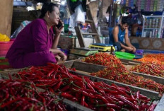 Harga Pangan 11 Juli 2025: Cabai dan Bawang Turun, Beras dan Daging Ayam Naik !