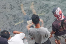 Jala Ikan di Sungai Enim, Warga Darmo Ditemukan Mengapung