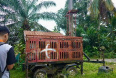 Kolaborasi Pemerintah–Operator, Kunci Pengentasan Blankspot