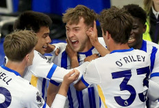 Liverpool Tumbang di Markas Brighton