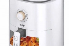 Cara Masak Unik Menggunakan Air Fryer, Solusi Praktis dan Sehat di Dapur