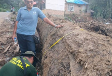 Bangun Huntara, Kemenhut Manfaatkan Kayu Hanyutan Pascabencana di Sumatera