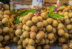 Buah Kelengkeng: Manfaat, Kandungan Gizi, dan Potensi Ekonomi yang Menjanjikan