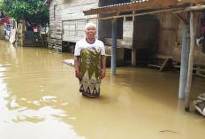 Sungai Lematang Meluap : Ratusan Warga Payuputat Terdampak Banjir !