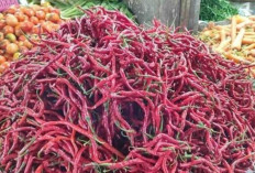 Harga Pangan 3 Oktober 2024 : Cabe Merah Keriting Naik Rp1.030 Menjadi Rp32.640 per Kilogram !