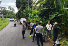 Pengemudi Motor di OKU Tewas Ditabrak Toyota Cayla