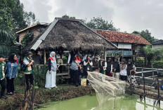  Program Karo Mamang PEP Ramba Field Dorong Ekonomi Warga Mangunjaya, UMKM Ikan Tumbuh Pesat
