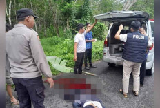 Pengendara Motor Tewas Tragis Ditimpa Pohon Tumbang 