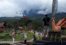 Pesona Dempo Park, Taman Tertinggi di Sumatera Selatan yang Menawan   
