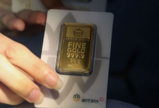 Harga Emas Antam 10 Januari 2025 : Naik Rp9.000 Menjadi Rp1,555 Juta per Gram