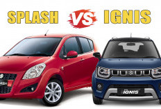 Suzuki Ignis: Evolusi dari Splash atau Mini SUV Baru ? Ini Jawaban Lengkapnya !