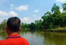 Pesona Danau Kapuk di PALI, Surga Wisata Alam yang Asri di Desa Modong
