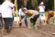 Dukung Ketahanan Pangan Polres Muba Tanam Jagung di Lahan Satu Hektar