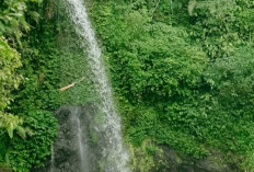 Menyegarkan dan Menyehatkan, Ini Deretan Pemandian Air Panas Favorit di Indonesia